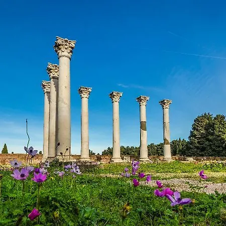 Ikos Aria Hotell Kéfalos