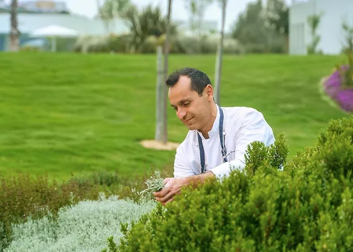 Ikos Aria 5* 케팔로스