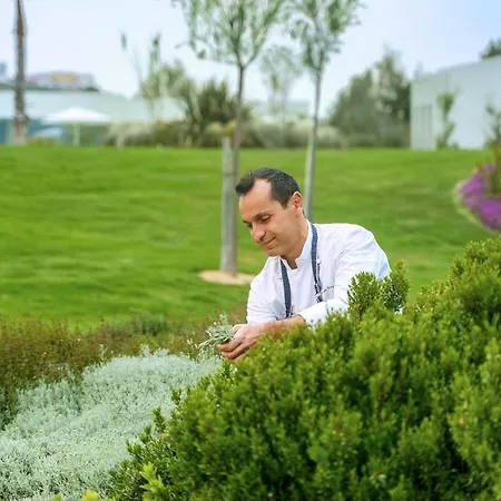 Ikos Aria 5* Kéfalos